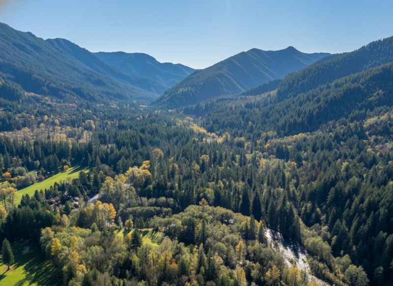 Best Bathroom Remodeling pros in Woodland, WA